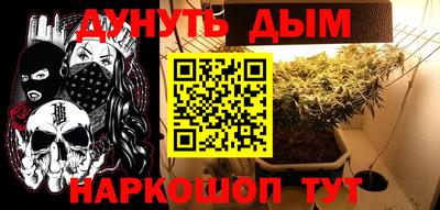 не бодяженный Сланцы